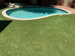 Modern garden with stone pathways and greenery