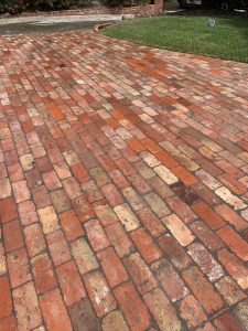 "Modern garden with a paved stone pathway"