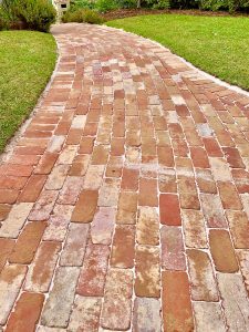 "Residential garden with stone pathways and plants"