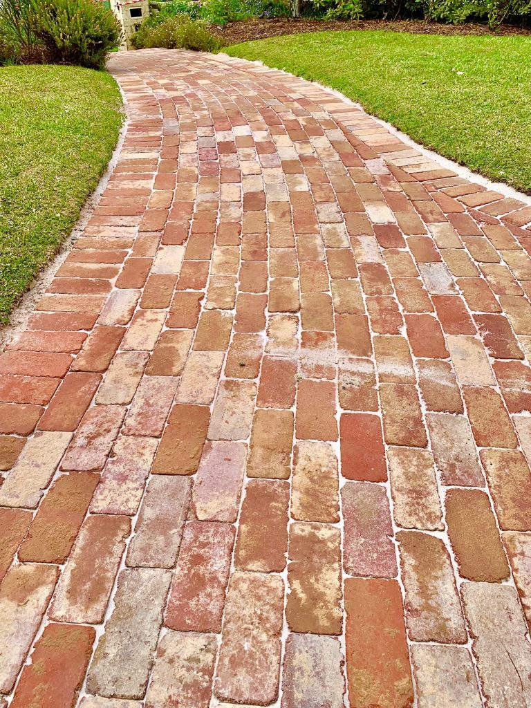 "Residential garden with stone pathways and plants"