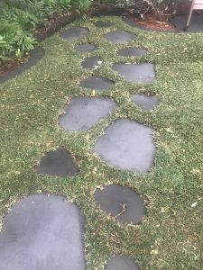 "Beautifully landscaped backyard with stone pathways"