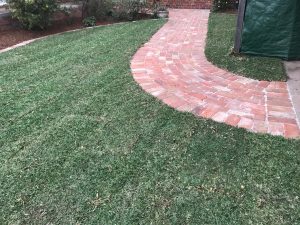 "Residential garden with stone pathways"