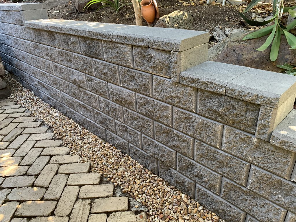 Garden with a neatly paved stone path