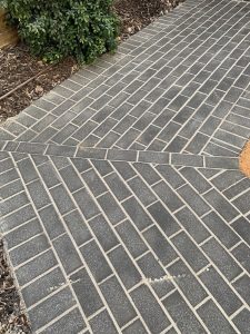 Beautifully paved garden path through greenery