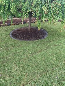 garden makeover