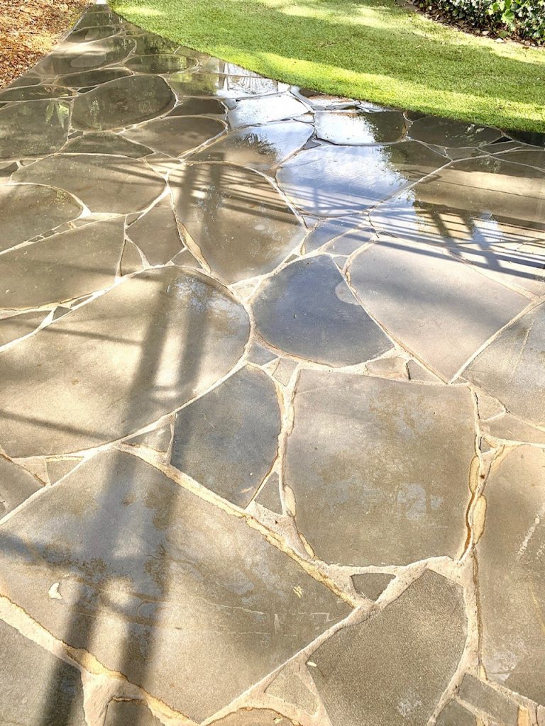 Modern residential garden with paved pathways